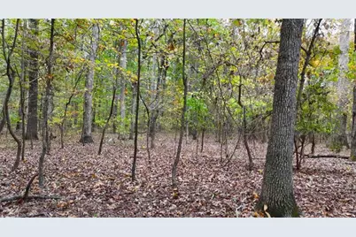 12895 Highway 36, Covington, GA 30014 - Photo 10