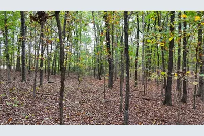 12895 Highway 36, Covington, GA 30014 - Photo 8