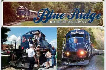 469 Mull Drive, Blue Ridge, GA 30559 - Photo 38