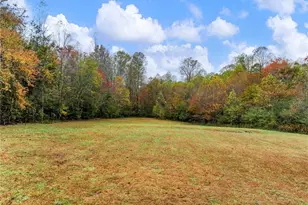 849 Blacksnake Rd, Mount Airy, GA 30563 - Photo 2