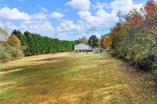 849 Blacksnake Rd, Mount Airy, GA 30563 - Photo 40