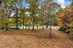 849 Blacksnake Rd, Mount Airy, GA 30563 - Photo 54