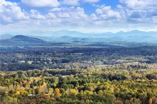 849 Blacksnake Rd, Mount Airy, GA 30563 - Photo 48