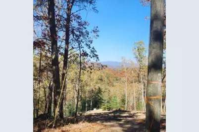 977 Raccoon Ridge NE, Ranger, GA 30734 - Photo 1