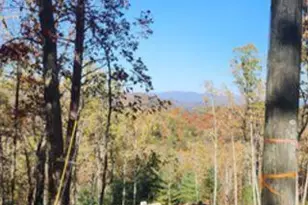 977 Raccoon Ridge NE, Ranger, GA 30734 - Photo 1