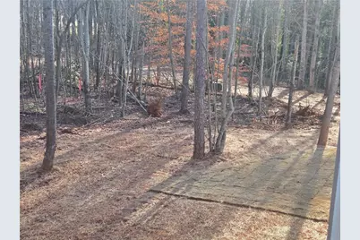 264 Canyon Point Drive, Demorest, GA 30535 - Photo 36