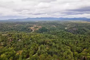 193 Haven Ct, Ellijay, GA 30540 - Photo 60