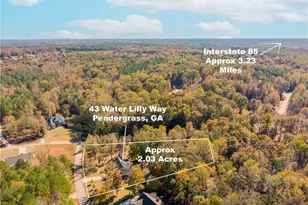 43 Water Lilly Way, Pendergrass, GA 30567 - Photo 60