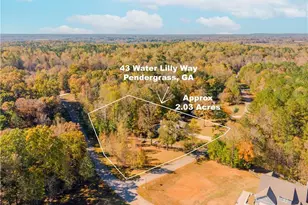 43 Water Lilly Way, Pendergrass, GA 30567 - Photo 62