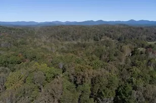 114 Funaro Ln, Dahlonega, GA 30533 - Photo 16