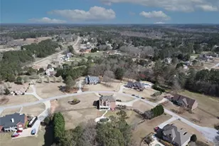 2515 Richards Walk, Loganville, GA 30052 - Photo 4