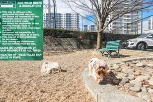 878 Peachtree St NE, Atlanta, GA 30309 - Photo 64