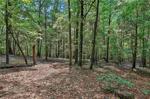 6220 Petersburg Rd, Fairburn, GA 30213 - Photo 68