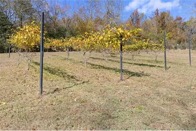 3740 Woodlane Road, Gainesville, GA 30506 - Photo 56