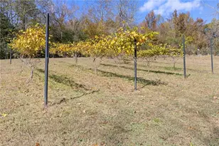 3740 Woodlane Rd, Gainesville, GA 30506 - Photo 56