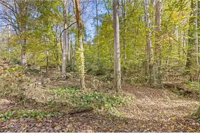 3740 Woodlane Road, Gainesville, GA 30506 - Photo 42