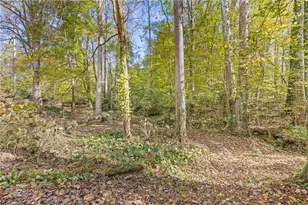 3740 Woodlane Rd, Gainesville, GA 30506 - Photo 42