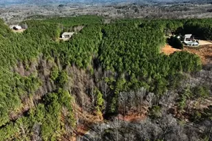 0 Fox Paw Leaf Ln, Ellijay, GA 30536 - Photo 6