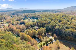 449 Chestatee Dr, Cleveland, GA 30528 - Photo 68