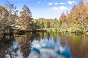 449 Chestatee Dr, Cleveland, GA 30528 - Photo 56