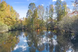 449 Chestatee Dr, Cleveland, GA 30528 - Photo 54