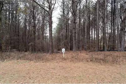 0 Foxpaw Leaf Lane, Ellijay, GA 30536 - Photo 22