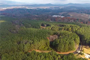 0 Fox Paw Leaf Ln, Ellijay, GA 30536 - Photo 12