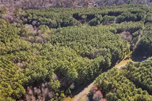 0 Fox Paw Leaf Ln, Ellijay, GA 30536 - Photo 6