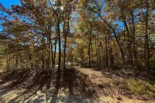 80 Beaver Run Rd, Waco, GA 30182 - Photo 16