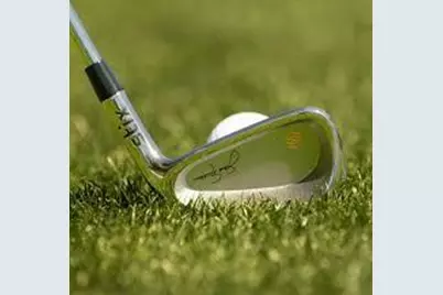 448 Golden Bear Pass, Dahlonega, GA 30533 - Photo 94