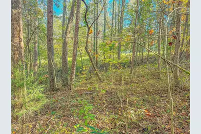 0 Eagle Claw Court, Martin, GA 30557 - Photo 4