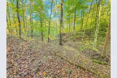 9369 Sherwood Court, Toccoa, GA 30577 - Photo 4