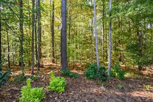 1200 Double Branches Ln, Dallas, GA 30132 - Photo 76