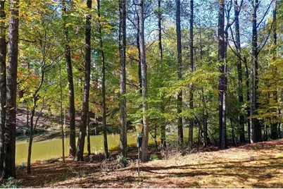 920 Waters Reach Court, Alpharetta, GA 30022 - Photo 74