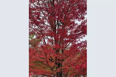 202 Reserve Crossing, Canton, GA 30115 - Photo 52