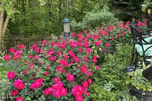 1885 Spring Rose Glen, Lawrenceville, GA 30043 - Photo 40