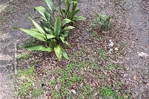 320 Old Perry Rd, Marshallville, GA 31057 - Photo 18