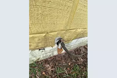 320 Old Perry Road, Marshallville, GA 31057 - Photo 34