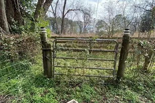 320 Old Perry Rd, Marshallville, GA 31057 - Photo 14