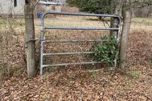 320 Old Perry Rd, Marshallville, GA 31057 - Photo 12