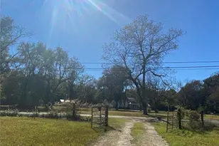 320 Old Perry Rd, Marshallville, GA 31057 - Photo 8