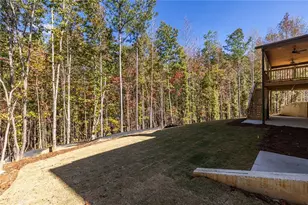 41 Lone Bear Path, Dallas, GA 30132 - Photo 66