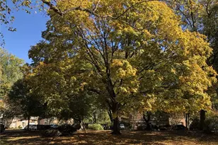 2471 Northlake Ct NE, Atlanta, GA 30345 - Photo 26