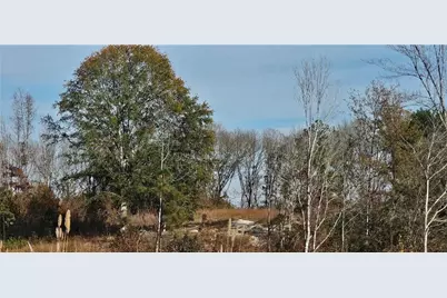 0 Old Eighty Five Road, Sandersville, GA 31083 - Photo 10