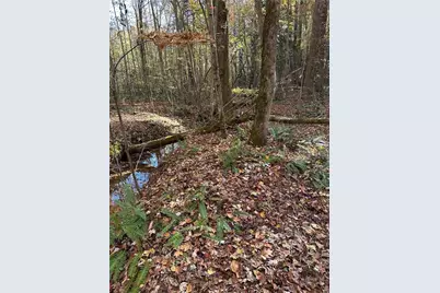 39 Planters Creek Drive, Baldwin, GA 30511 - Photo 4