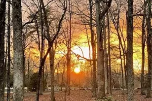 6752 Shoal Creek Rd, Clermont, GA 30527 - Photo 62