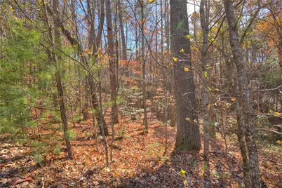 807 Choctaw Pass, Big Canoe, GA 30143 - Photo 4