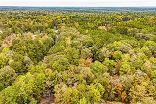 121 Hardy Rd, Senoia, GA 30276 - Photo 30