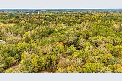 121 Hardy Road, Senoia, GA 30276 - Photo 34