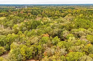 121 Hardy Rd, Senoia, GA 30276 - Photo 34